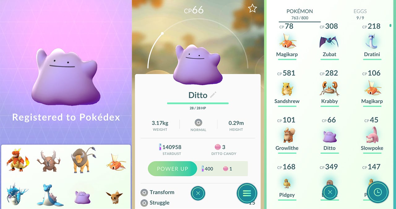 Pokémon GO Ditto Hints