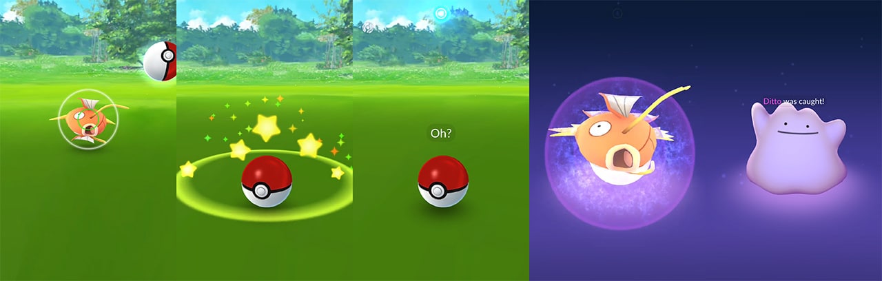 Pokemon Go Ditto guide How to catch a Ditto in Pokemon Go on Apple Books