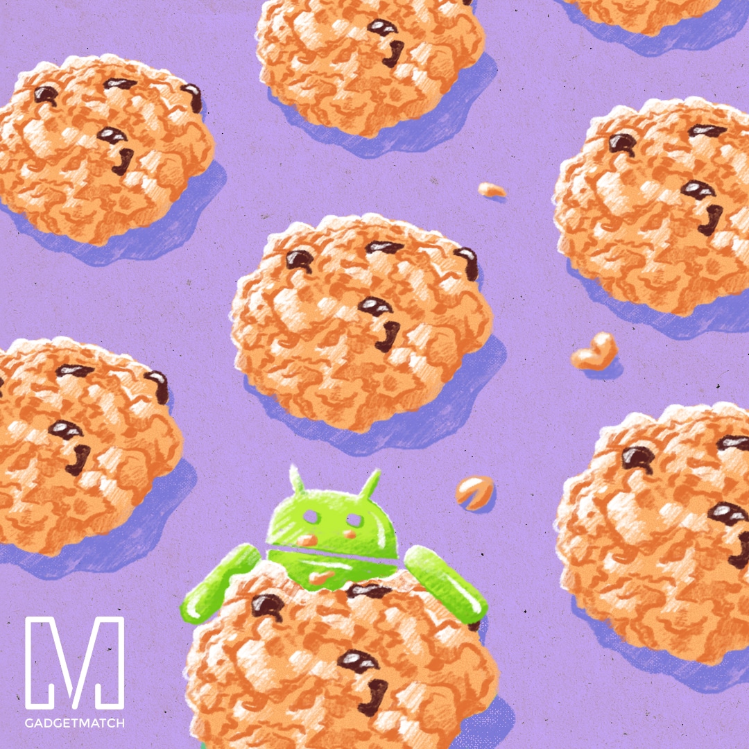 Android Oatmeal Cookie