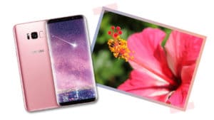 Pink Samsung Galaxy s8+ matches the gumamela