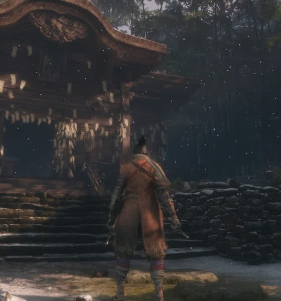This Sekiro: Shadows Die Twice Limited Edition PS4 Pro Is Worth Dying For