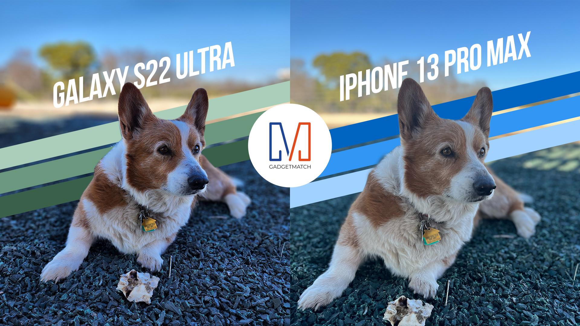 samsung-galaxy-s22-ultra-vs-iphone-13-pro-max-camera-shootout