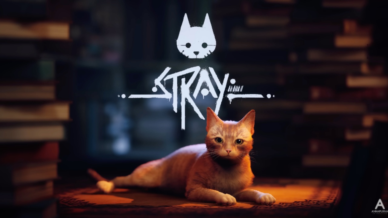 Stray Teases Clever Cat Gameplay in a Beautiful World - IGN