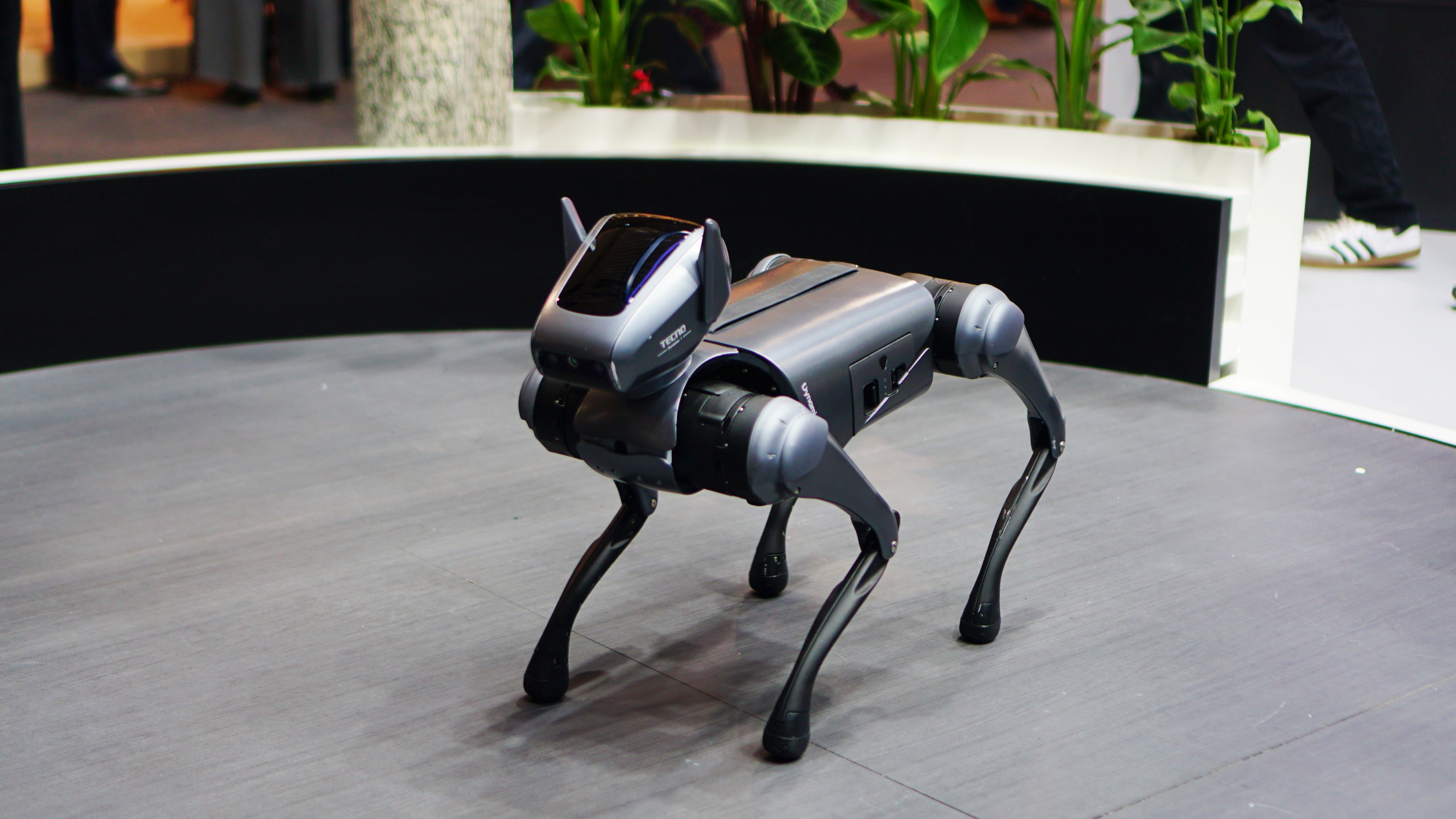 TECNO Robot Dog